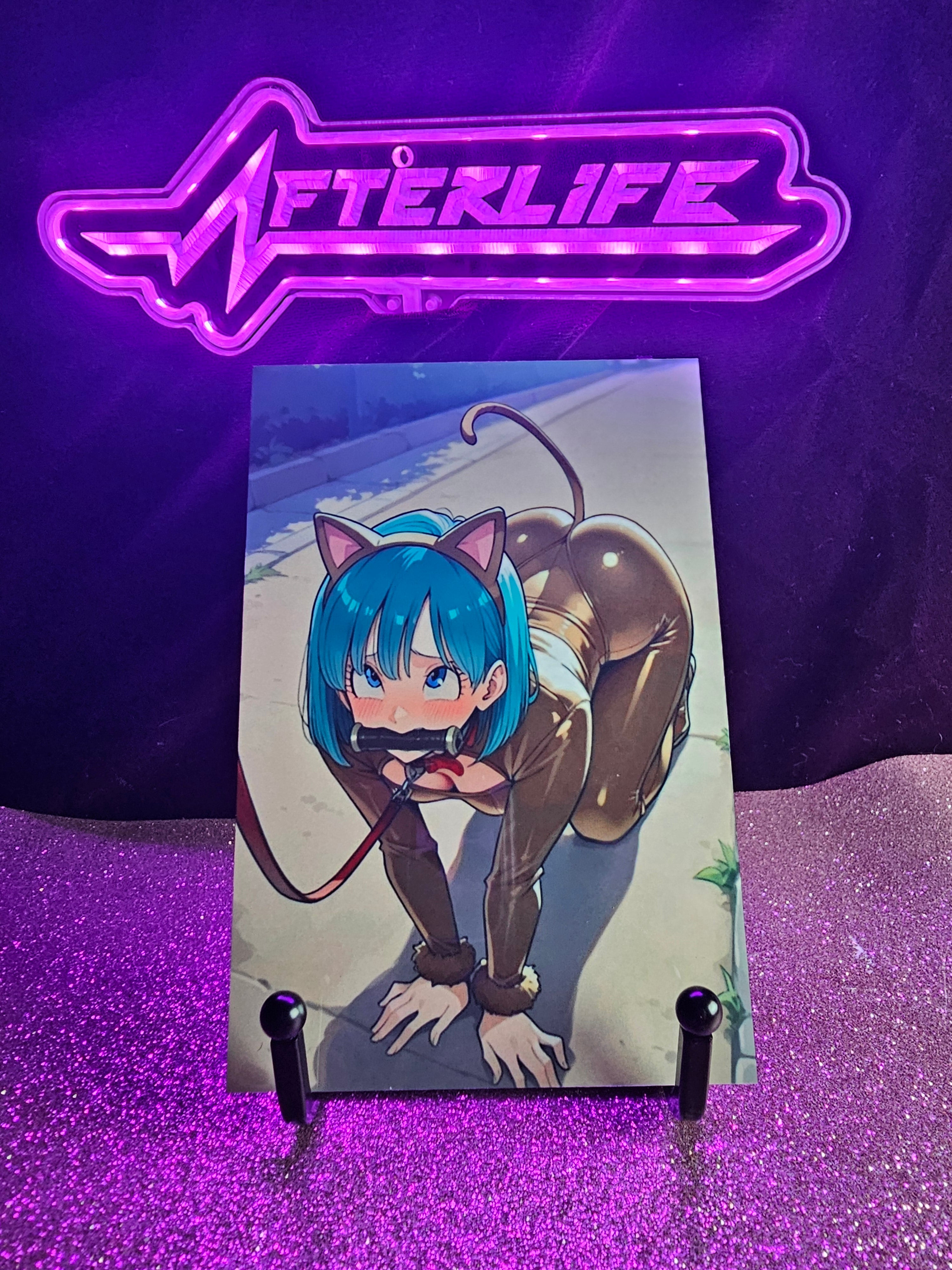 Bulma Dragonball Z 4x6 metal plaque