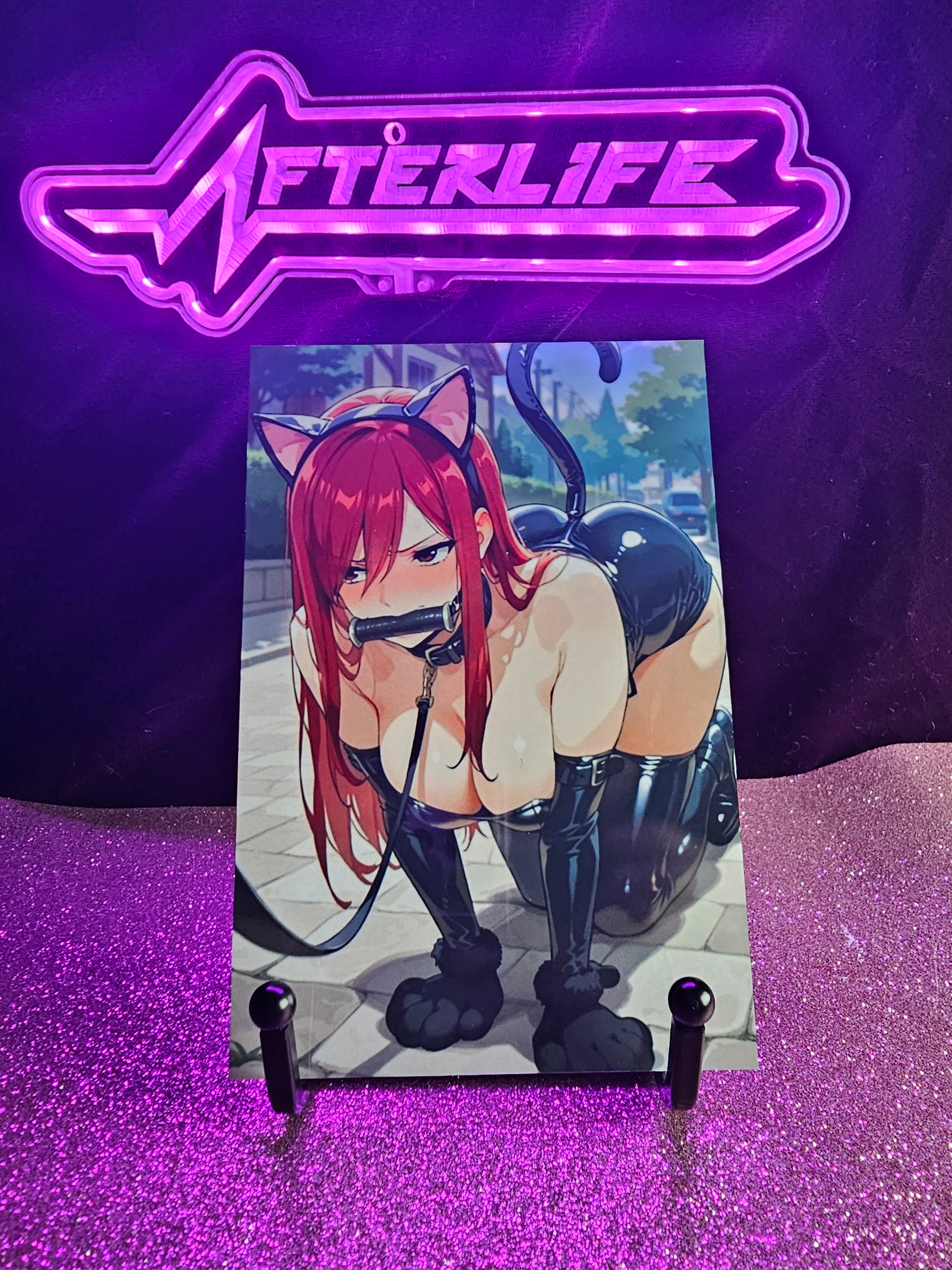 Erza Scarlet Fairy Tail 4x6 metal plaque
