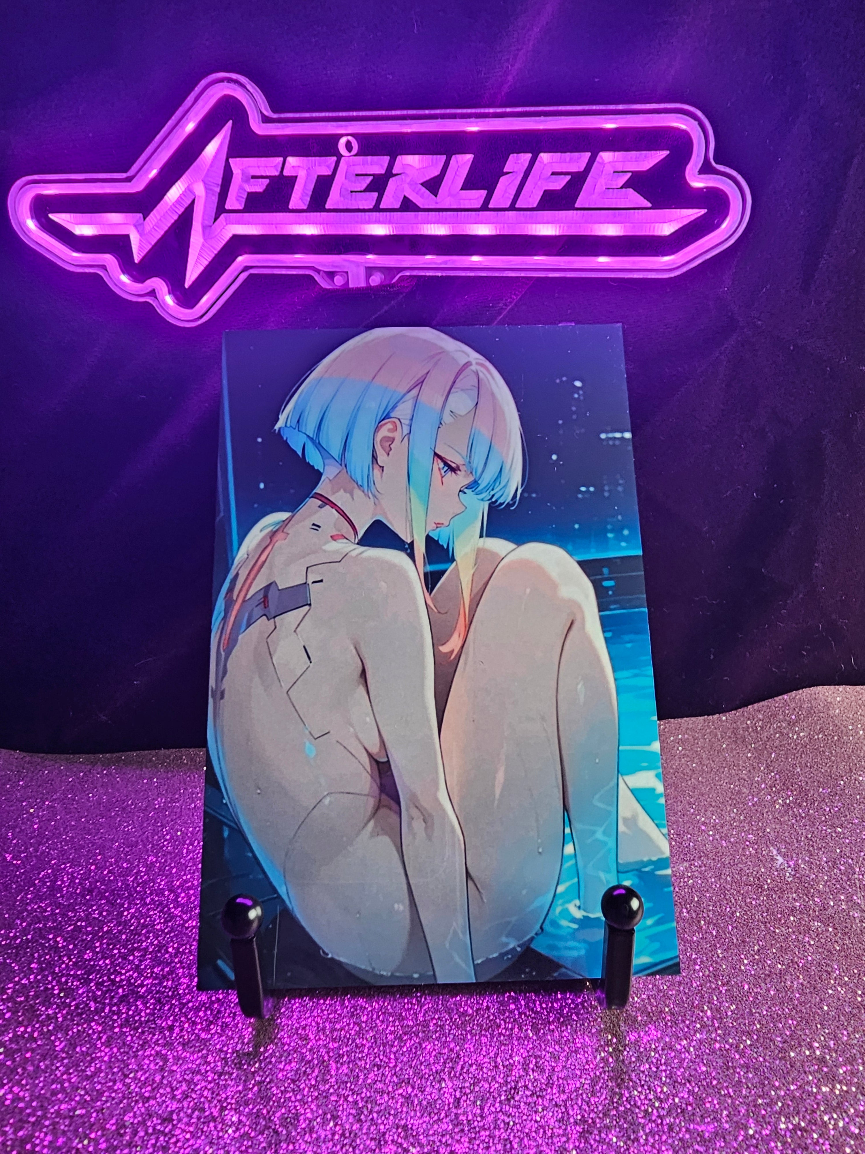 Lucy Cyberpunk 4x6 metal plaque